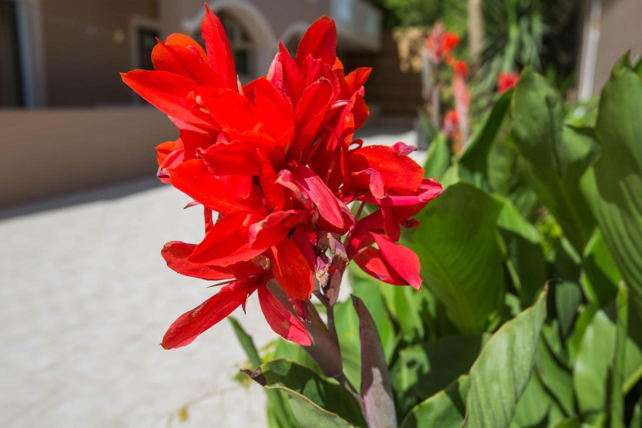 Kozanos Hotel & Suites Αλυκανάς Εξωτερικό φωτογραφία